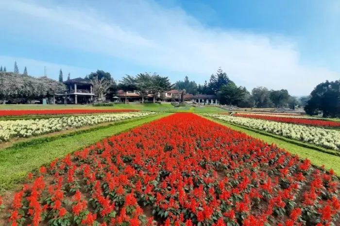 7 Newest Tourist Attractions in Puncak for Family Vacations