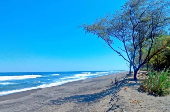 Goa Cemara Beach, the Charm of Exotic Marine Tourism in Jogja